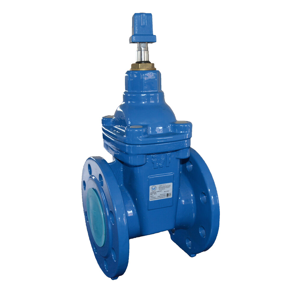 VÁLVULA COMPUERTA CIERRE ELASTICO F 14