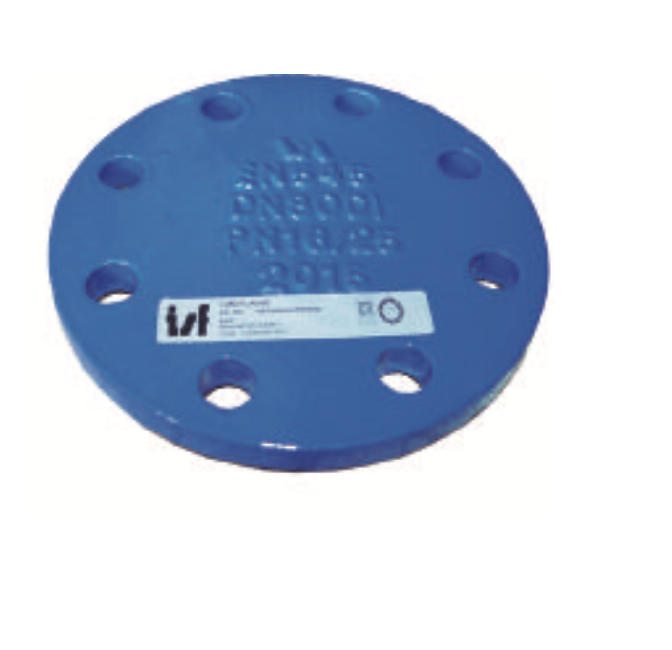 BRIDA CIEGA PN 16